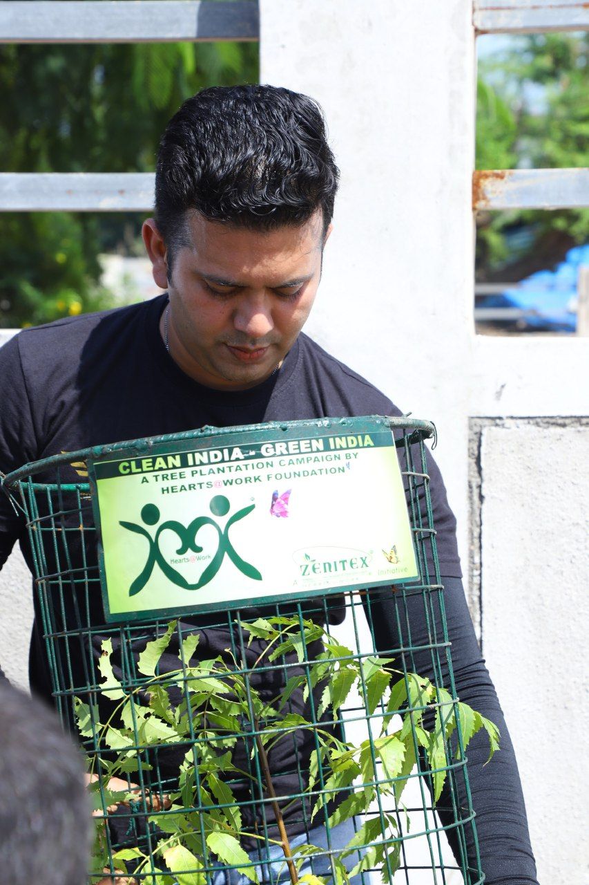 Urban Forest Creation